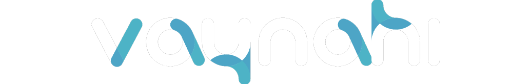 Vaynahi social network Logo